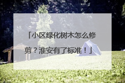 小区绿化树木怎么修剪？淮安有了标准！