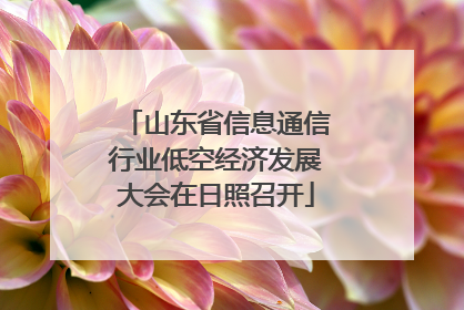 山东省信息通信行业低空经济发展大会在日照召开