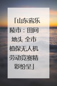山东省乐陵市：田间地头 全市植保无人机劳动竞赛精彩纷呈