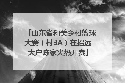 山东省和美乡村篮球大赛（村BA）在招远大户陈家火热开赛