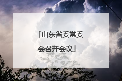 山东省委常委会召开会议