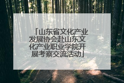 山东省文化产业发展协会赴山东文化产业职业学院开展考察交流活动