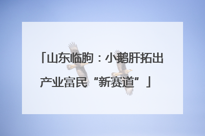 山东临朐：小鹅肝拓出产业富民“新赛道”