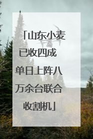山东小麦已收四成 单日上阵八万余台联合收割机