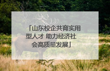 山东校企共育实用型人才 助力经济社会高质量发展