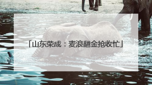 山东荣成：麦浪翻金抢收忙