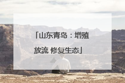 山东青岛：增殖放流 修复生态