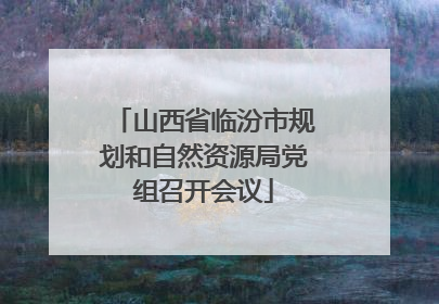 山西省临汾市规划和自然资源局党组召开会议