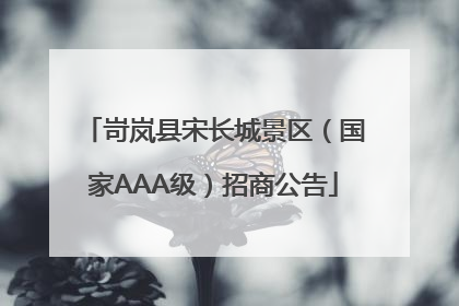 岢岚县宋长城景区（国家AAA级）招商公告