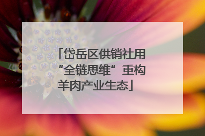 岱岳区供销社用“全链思维”重构羊肉产业生态