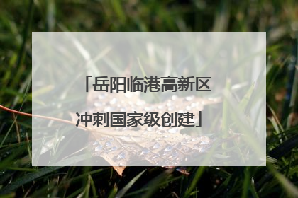岳阳临港高新区冲刺国家级创建