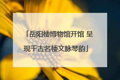 岳阳楼博物馆开馆 呈现千古名楼文脉琴韵