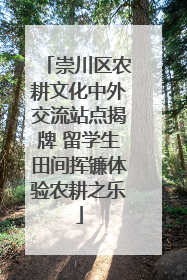 崇川区农耕文化中外交流站点揭牌 留学生田间挥镰体验农耕之乐