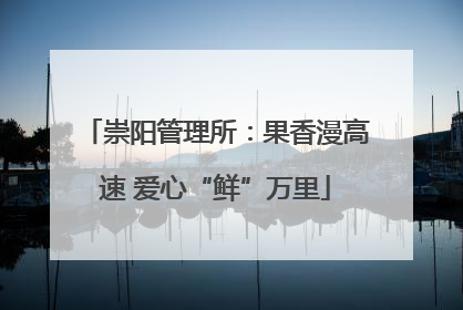 崇阳管理所：果香漫高速 爱心“鲜”万里