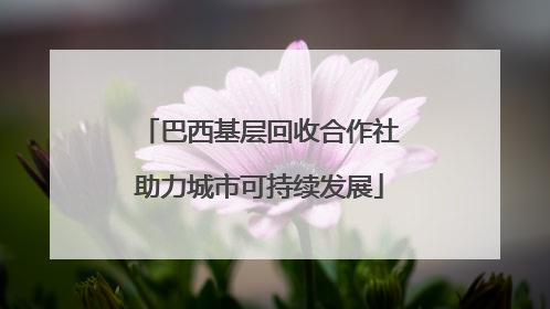 巴西基层回收合作社助力城市可持续发展