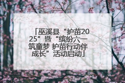巫溪县“护苗2025”暨“缤纷六一筑童梦 护苗行动伴成长”活动启动