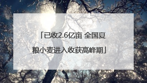 已收2.6亿亩 全国夏粮小麦进入收获高峰期