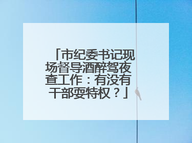 市纪委书记现场督导酒醉驾夜查工作：有没有干部耍特权？