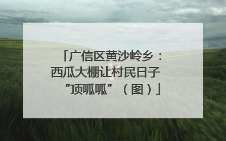 广信区黄沙岭乡：西瓜大棚让村民日子“顶呱呱”（图）