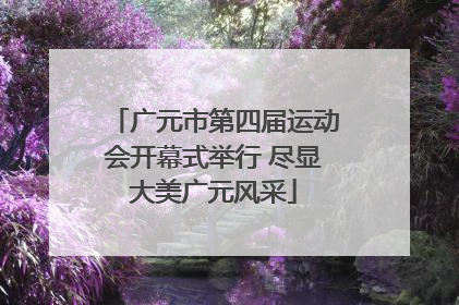 广元市第四届运动会开幕式举行 尽显大美广元风采