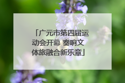 广元市第四届运动会开幕 奏响文体旅融合新乐章