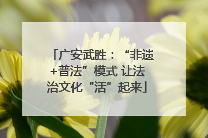 广安武胜：“非遗+普法”模式 让法治文化“活”起来