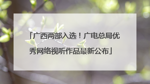 广西两部入选！广电总局优秀网络视听作品最新公布