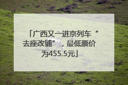 广西又一进京列车“去座改铺”，最低票价为455.5元