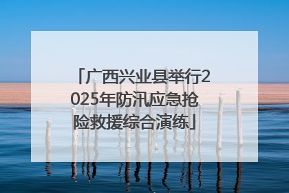 广西兴业县举行2025年防汛应急抢险救援综合演练