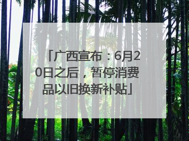 广西宣布：6月20日之后，暂停消费品以旧换新补贴