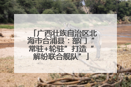 广西壮族自治区北海市合浦县：部门“常驻+轮驻”打造“解纷联合舰队”