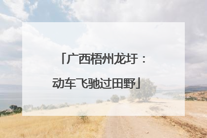 广西梧州龙圩：动车飞驰过田野