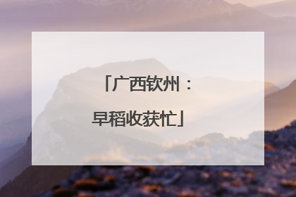 广西钦州：早稻收获忙