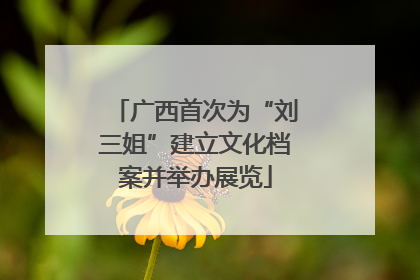 广西首次为“刘三姐”建立文化档案并举办展览