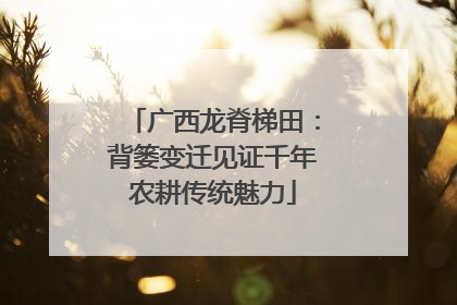 广西龙脊梯田：背篓变迁见证千年农耕传统魅力