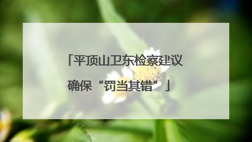 平顶山卫东检察建议确保“罚当其错”