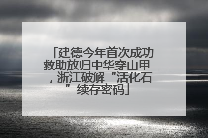 建德今年首次成功救助放归中华穿山甲，浙江破解“活化石”续存密码