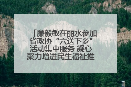 廉毅敏在丽水参加省政协“六送下乡”活动集中服务 凝心聚力增进民生福祉推进共同富裕