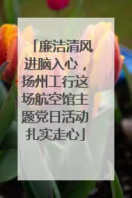 廉洁清风进脑入心，扬州工行这场航空馆主题党日活动扎实走心