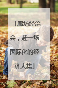 廊坊经洽会，赶一场国际化的经济大集
