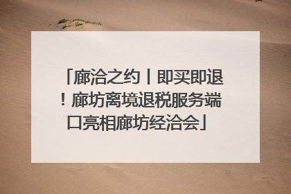 廊洽之约丨即买即退！廊坊离境退税服务端口亮相廊坊经洽会