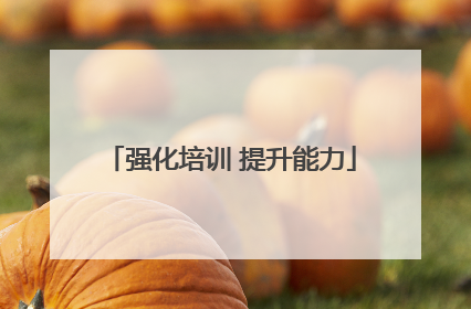 强化培训 提升能力