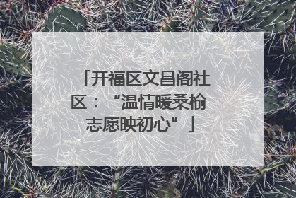 开福区文昌阁社区：“温情暖桑榆 志愿映初心”