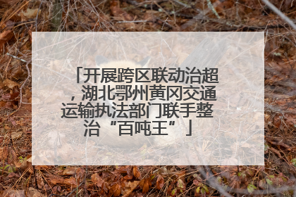 开展跨区联动治超，湖北鄂州黄冈交通运输执法部门联手整治“百吨王”
