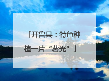 开鲁县：特色种植一片“薯光”