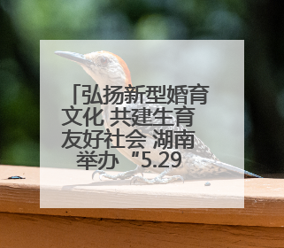 弘扬新型婚育文化 共建生育友好社会 湖南举办“5.29”计生协会员日活动