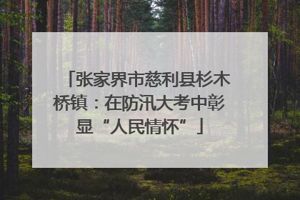 张家界市慈利县杉木桥镇：在防汛大考中彰显“人民情怀”