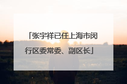 张宇祥已任上海市闵行区委常委、副区长