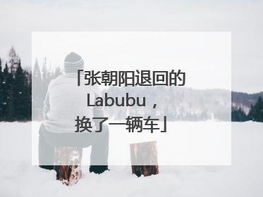 张朝阳退回的Labubu，换了一辆车