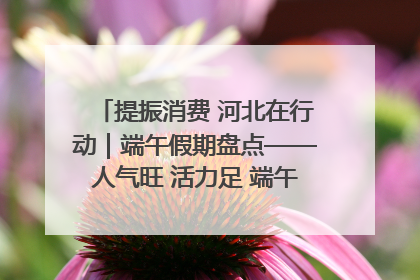 提振消费 河北在行动｜端午假期盘点——人气旺 活力足 端午经济“热浪”迭起